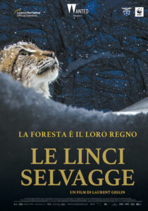 LE LINCI SELVAGGE - Laurent Geslin # Svizzera/Francia (82')